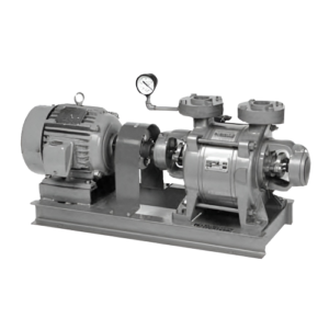 Vacuum Pump WOOSUNG WWVP Series